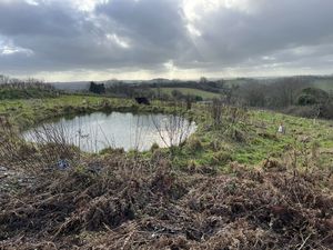 Photo 6- click for photo gallery